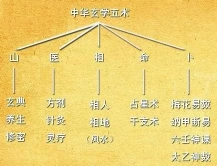 星桥五术|产品介绍